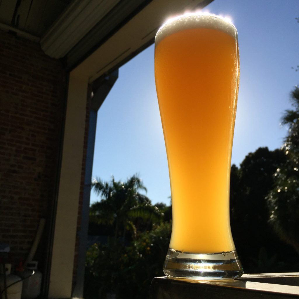 Motorworks Brewing Hudson Hefeweizen in tall pilsner glass