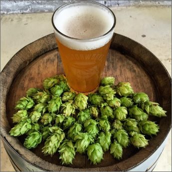 Motorworks Brewing pint of beer and hops on top of barrel
