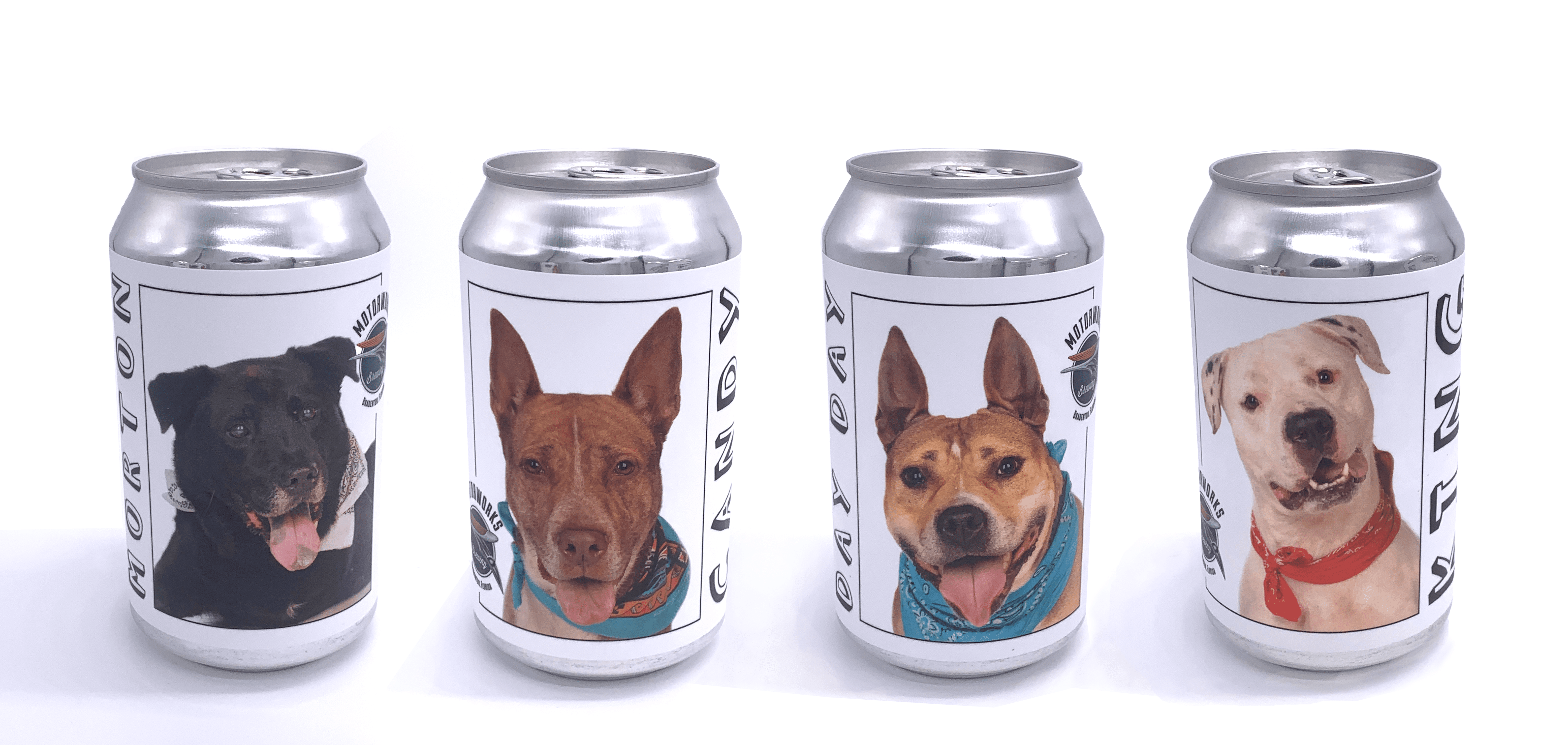Motorworks Brewing Adoptable Cruiser cans with 4 adoptable shelter dogs on 4 different can labels